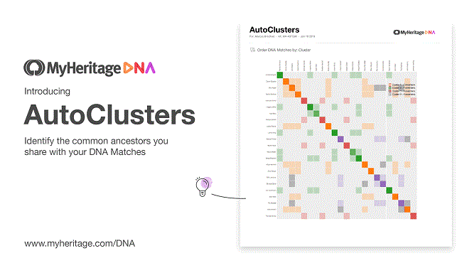AutoClusters für DNA Matches
