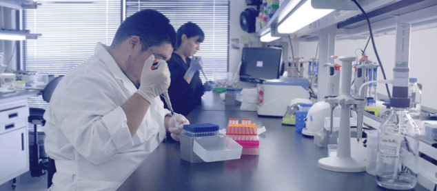 4 Mythen über DNA-Tests