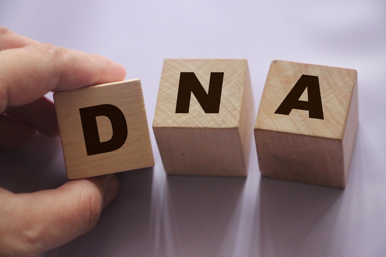 Genealogie-Glossar: wir erklären Allgemeine DNA-Begriffe