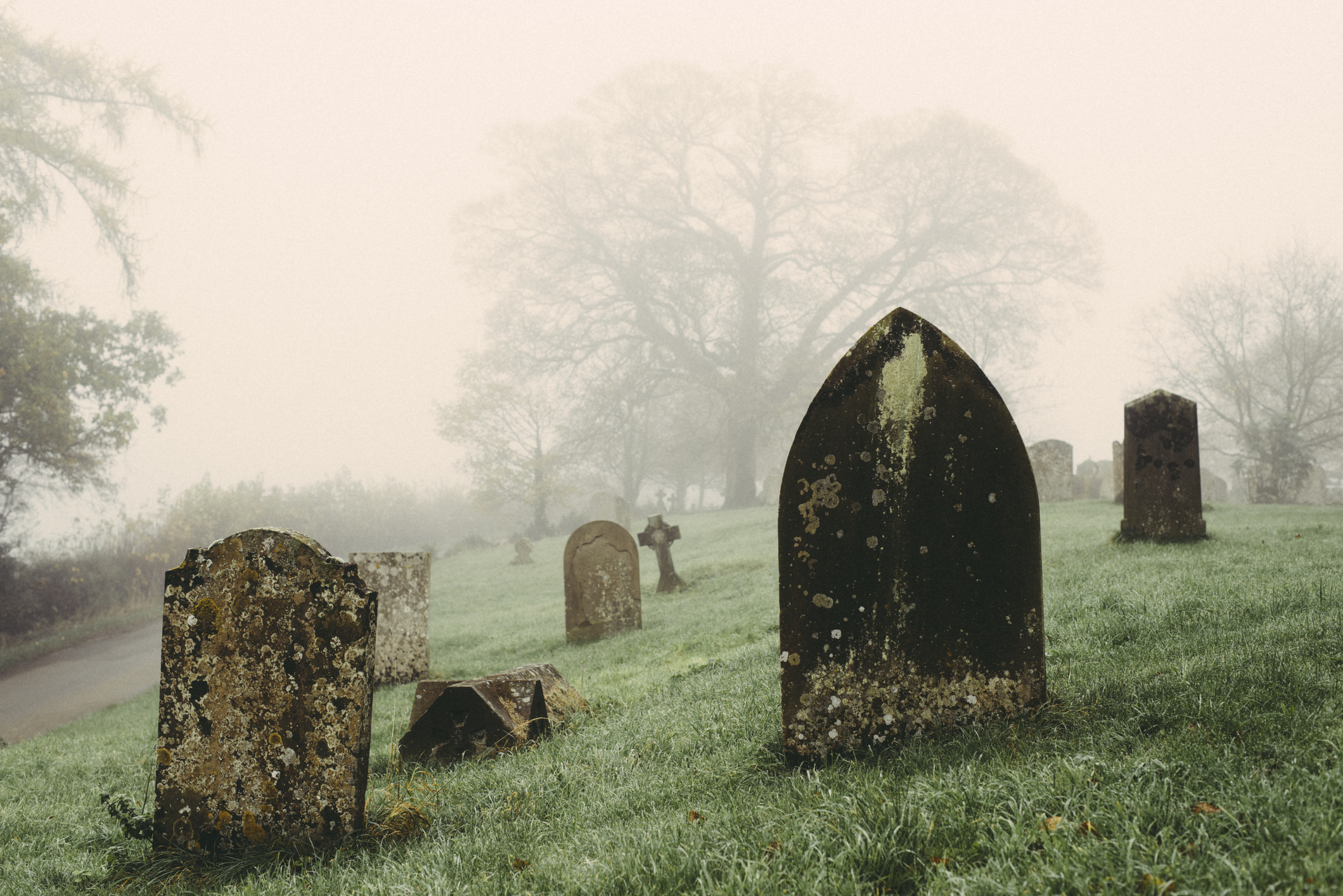 Virtuelle Friedhöfe: Wie man während Social Distancing online gedenken kann